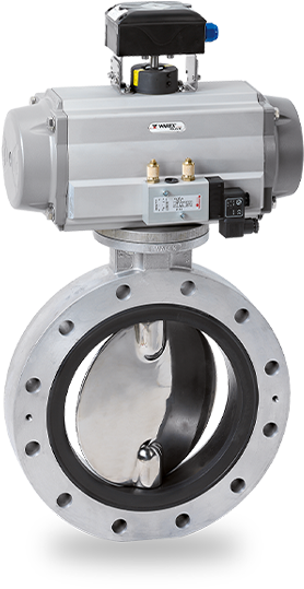 butterfly valve 1