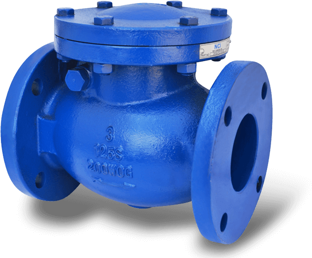 check valve 1