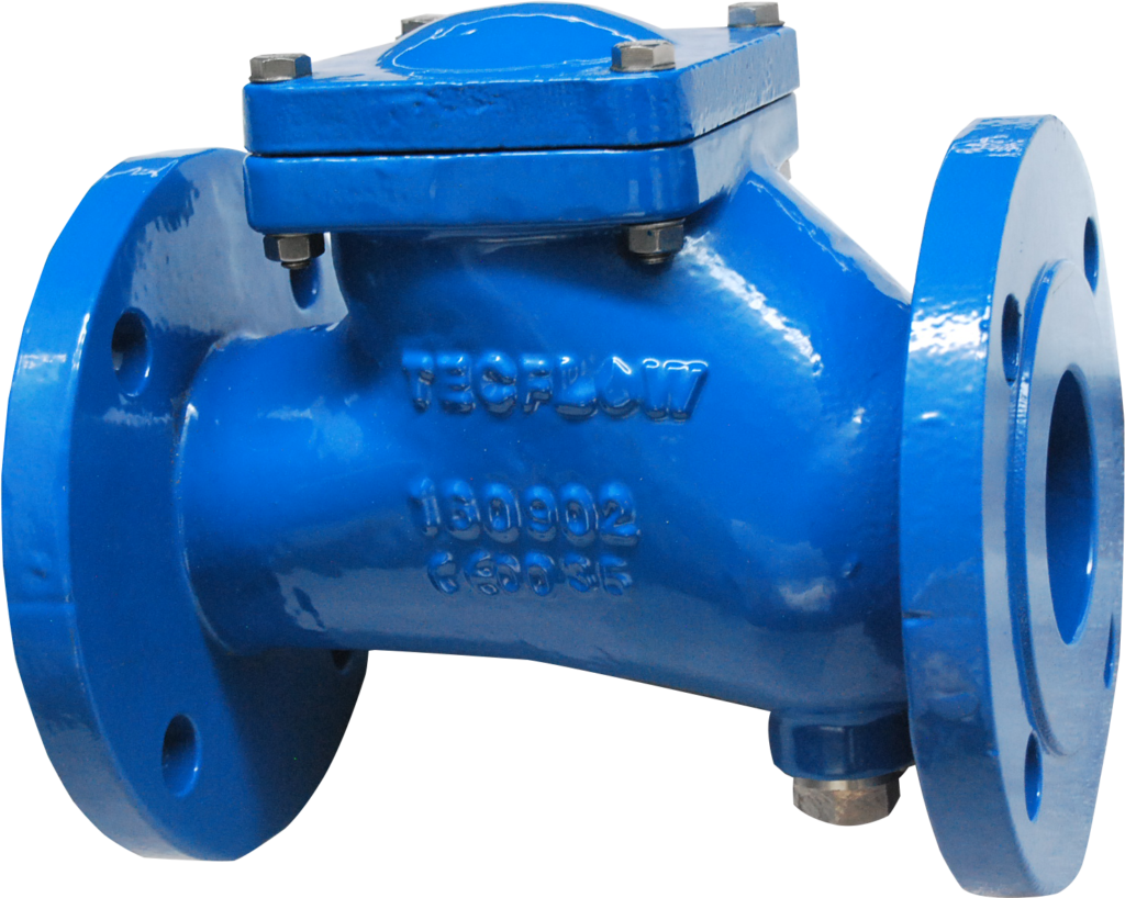 check valve 2