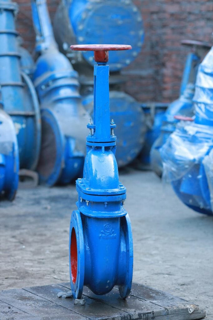 gate valve 1