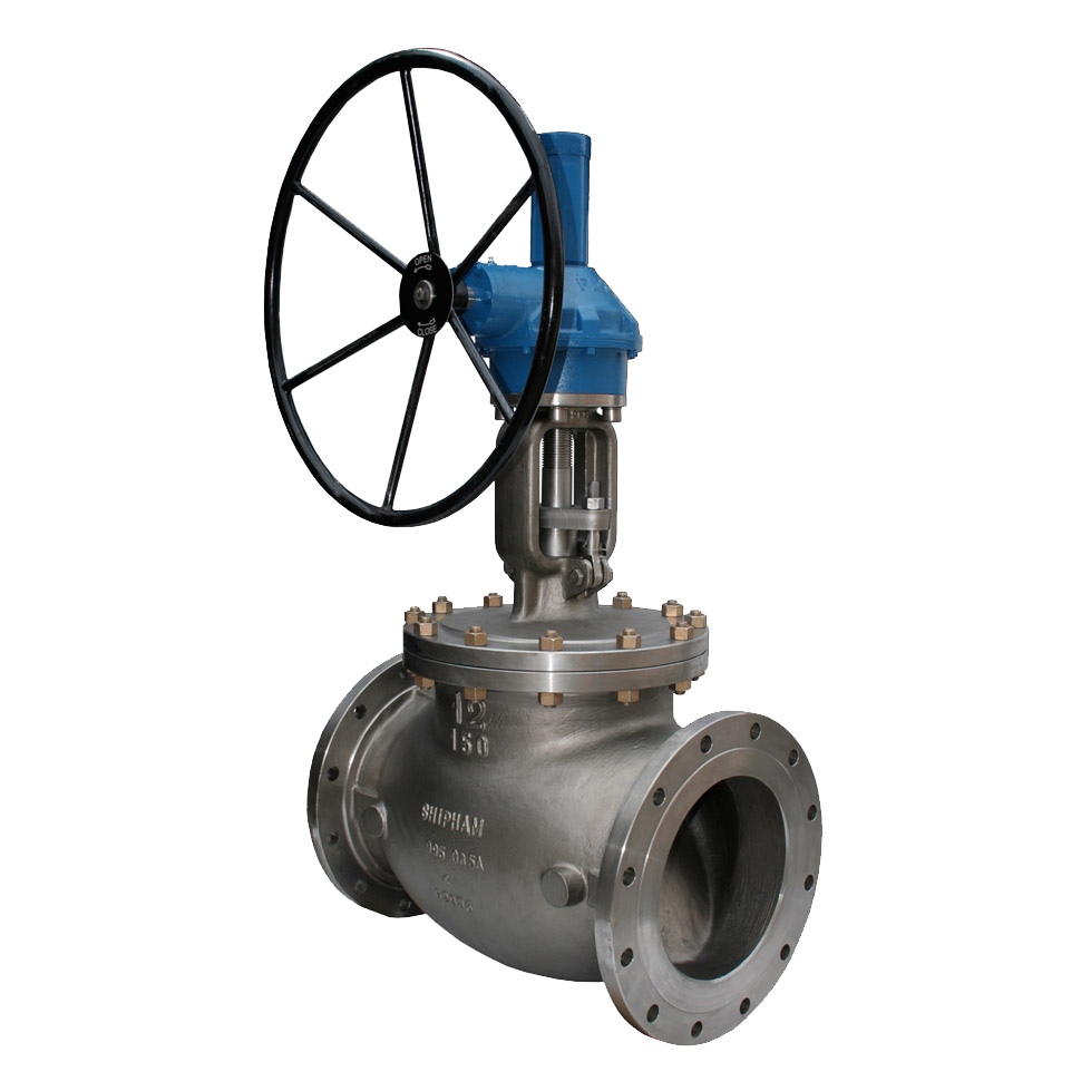 globe valve 1