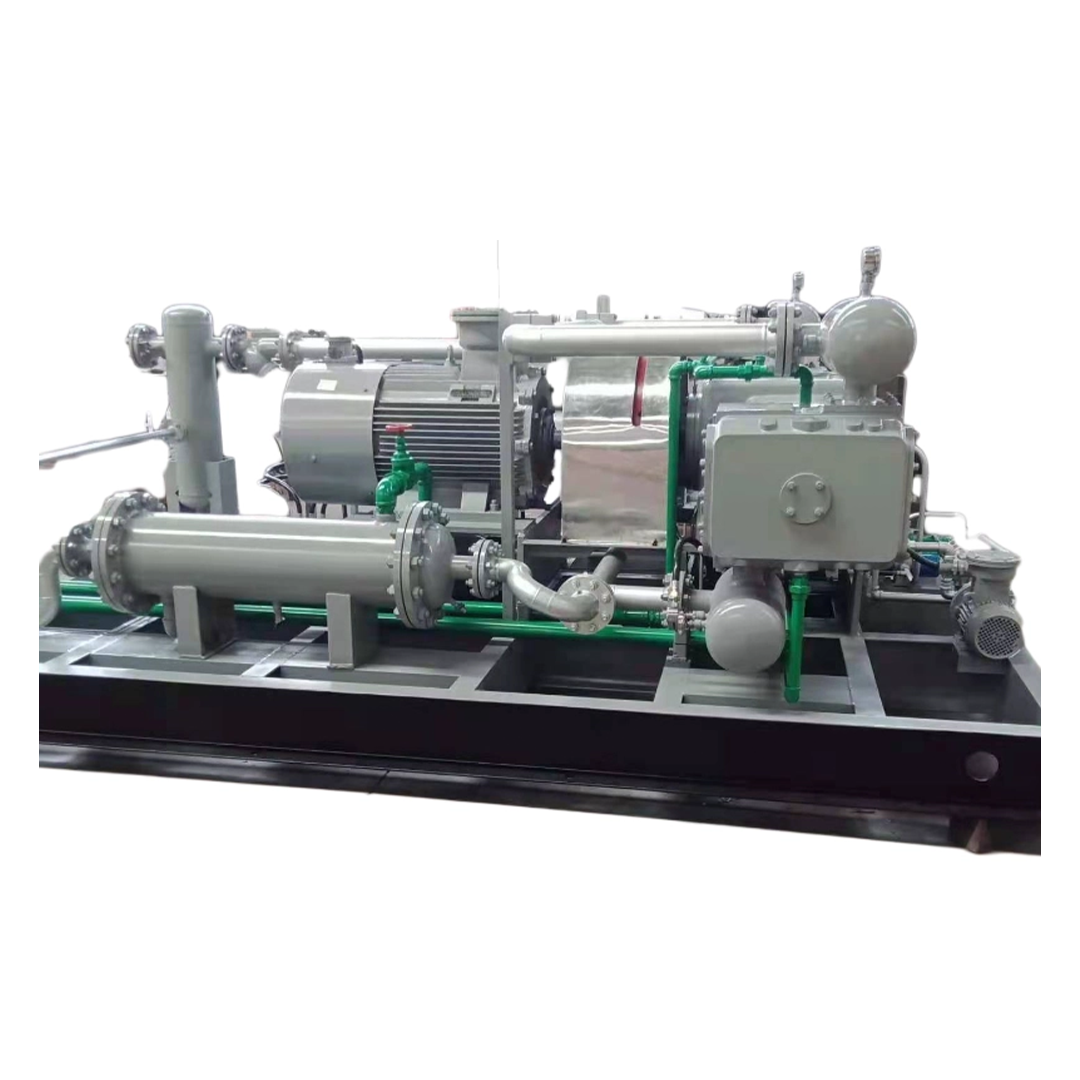 process reciprocating gas booster